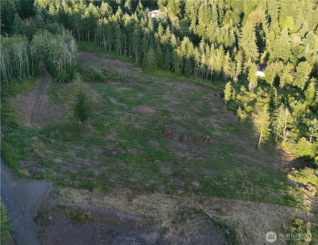 191 Kjesbu Rd, Mossyrock, WA 98585 - photo 9