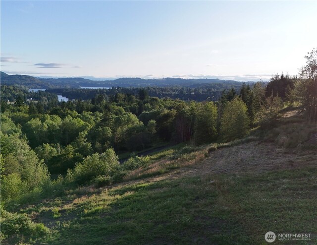 191 Kjesbu Rd, Mossyrock, WA 98585 - photo 10