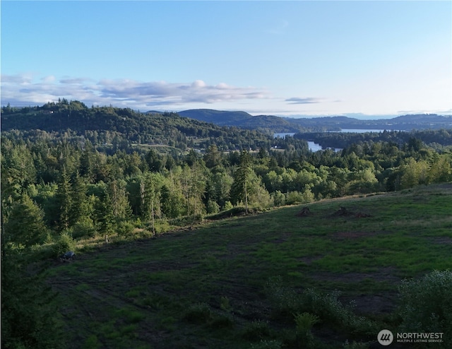 191 Kjesbu Rd, Mossyrock, WA 98585 - photo 11