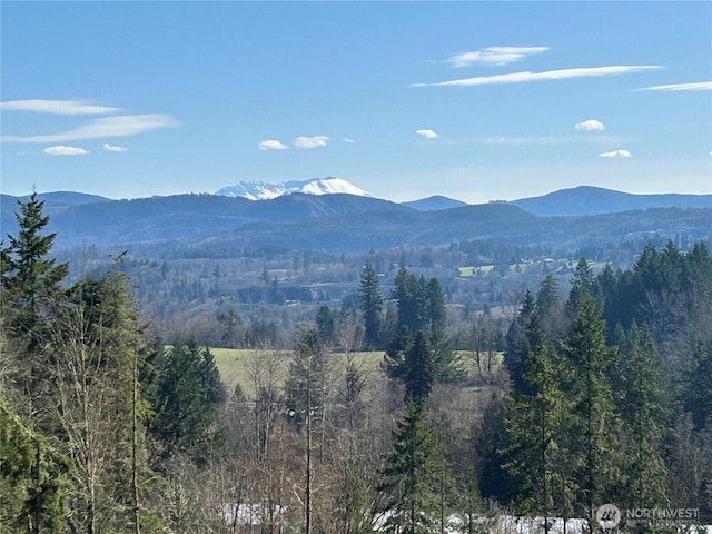 191 Kjesbu Rd, Mossyrock, WA 98585 - photo 1