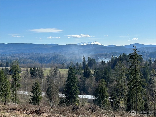 191 Kjesbu Rd, Mossyrock, WA 98585 - photo 2