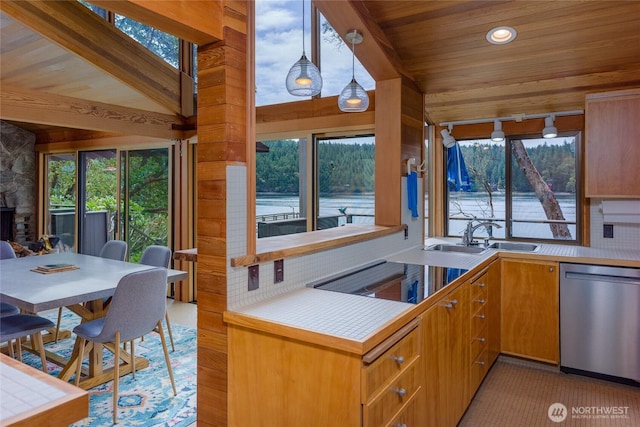 69 Rocky Rd, Crane Island, WA 98245 - kitchen featuring stainless steel dishwasher, wood ceiling, decorative light fixtures, plenty of natural light, and recessed lighting