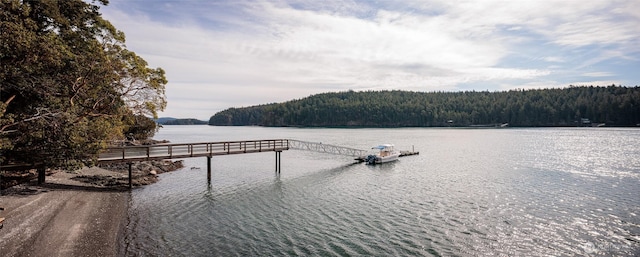 69 Rocky Rd, Crane Island, WA 98245 - dock featuring a forest view and a water view