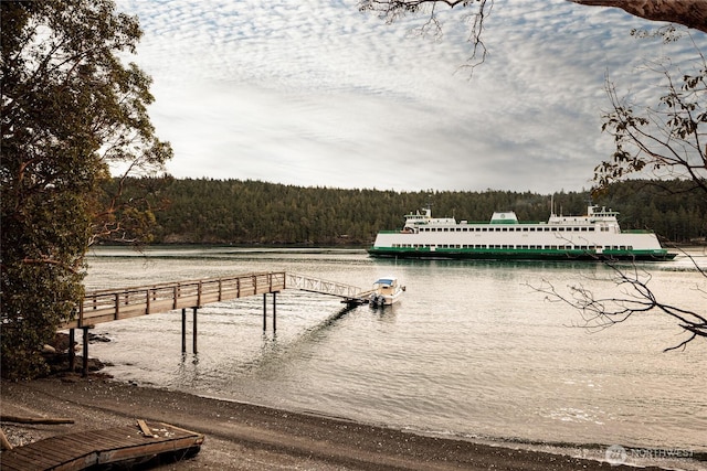 69 Rocky Rd, Crane Island, WA 98245 - dock featuring a view of trees and a water view