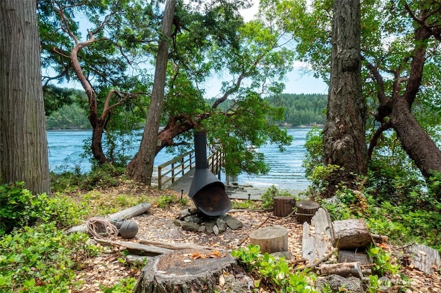 69 Rocky Rd, Crane Island, WA 98245 - water view featuring a forest