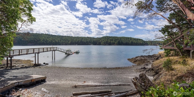 69 Rocky Rd, Crane Island, WA 98245 - photo 1