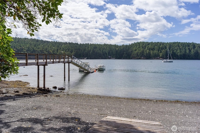 69 Rocky Rd, Crane Island, WA 98245 - photo 38