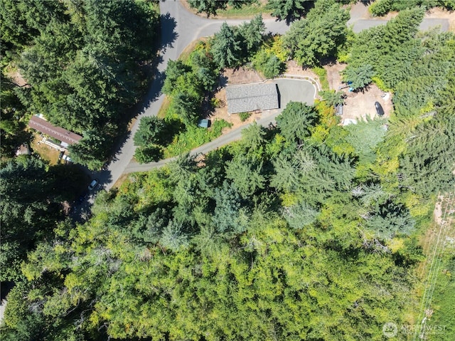150 N Beaver Dr, Hoodsport, WA 98548 - photo 25