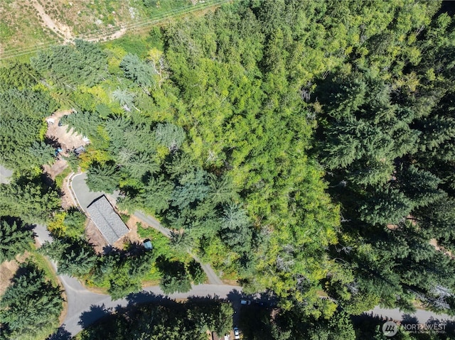 150 N Beaver Dr, Hoodsport, WA 98548 - photo 26