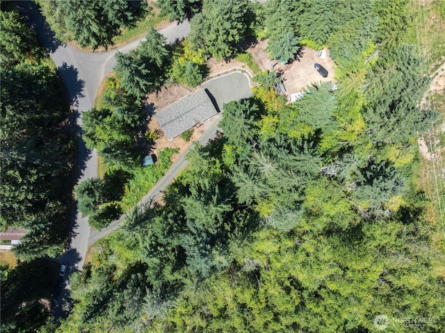 150 N Beaver Dr, Hoodsport, WA 98548 - photo 2