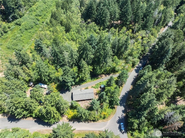 150 N Beaver Dr, Hoodsport, WA 98548 - photo 24