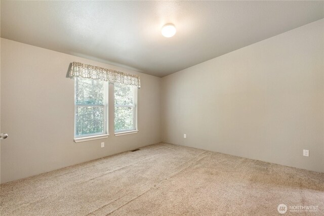 150 N Beaver Dr, Hoodsport, WA 98548 - photo 20