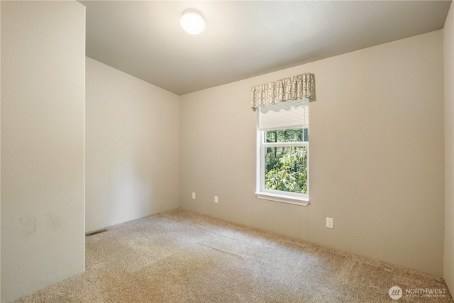 150 N Beaver Dr, Hoodsport, WA 98548 - photo 14