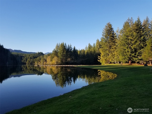 150 N Beaver Dr, Hoodsport, WA 98548 - photo 3