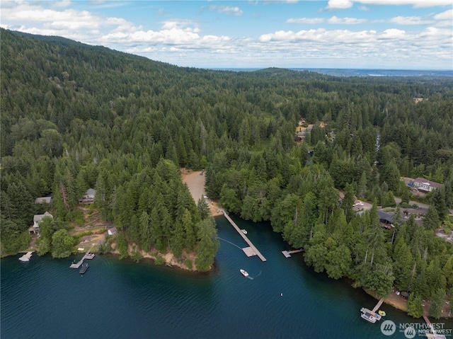 150 N Beaver Dr, Hoodsport, WA 98548 - photo 35
