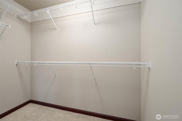 259 W Bakerview Unit 304, Bellingham, WA 98226 - walk in closet with carpet flooring