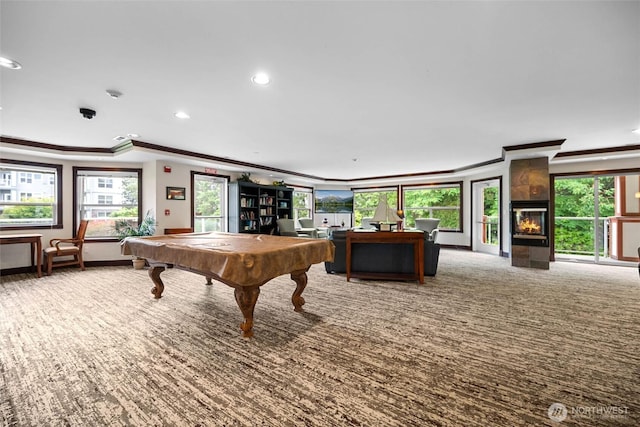 259 W Bakerview Unit 304, Bellingham, WA 98226 - rec room with crown molding, billiards, recessed lighting, and carpet