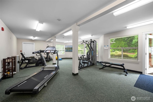 259 W Bakerview Unit 304, Bellingham, WA 98226 - workout area with carpet and baseboards