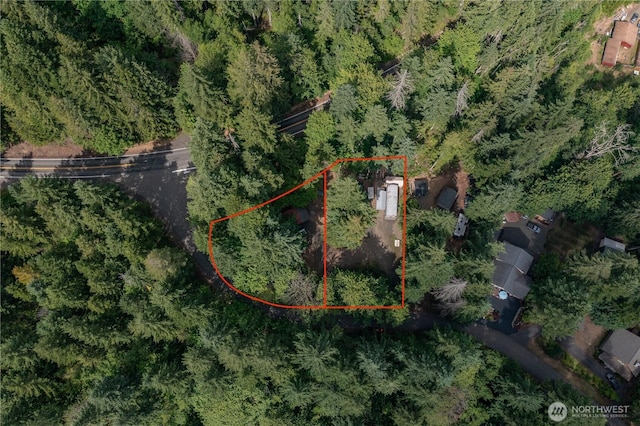 31 N Fawn Dr, Hoodsport, WA 98548 - photo 34