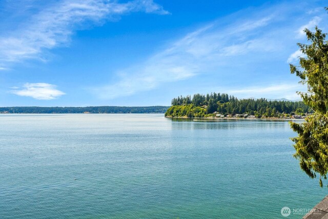 70 Island Blvd, Fox Island, WA 98333 - photo 9