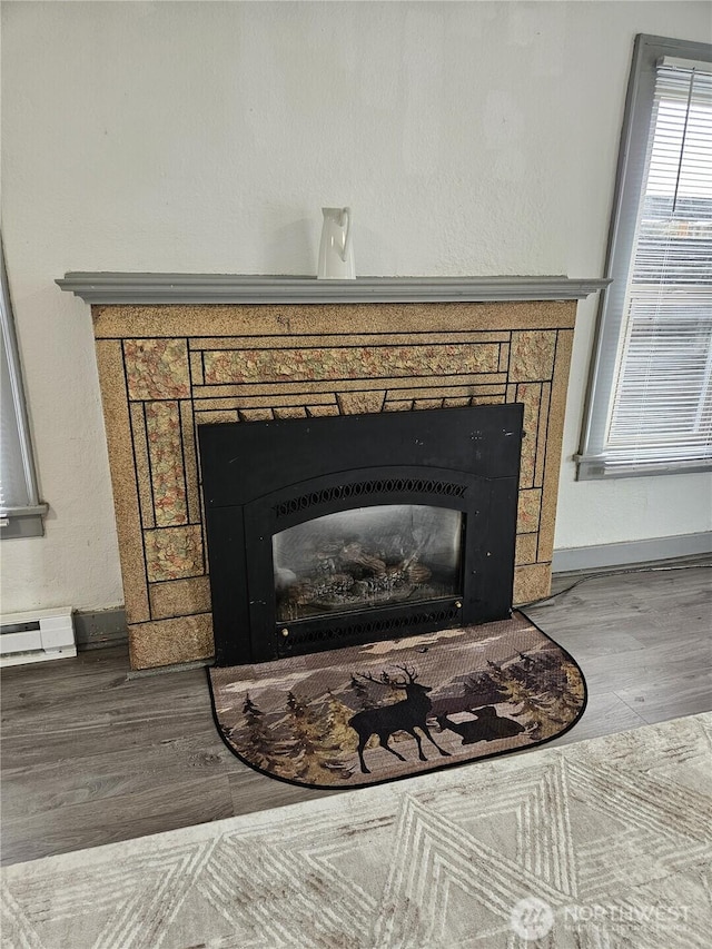 3023 Aberdeen Ave, Hoquiam, WA 98550 - detailed view of a fireplace, wood finished floors, and baseboard heating