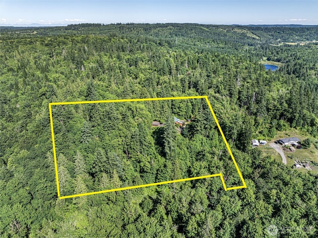 200 Lakeness Rd, Quilcene, WA 98376 - photo 3