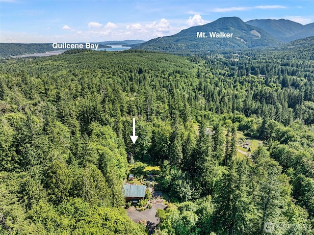 200 Lakeness Rd, Quilcene, WA 98376 - photo 39