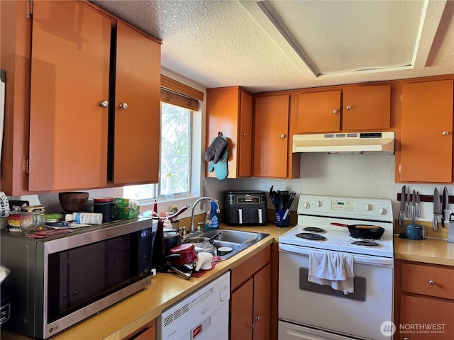 241 Havillah Rd, Tonasket, WA 98855 - photo 3