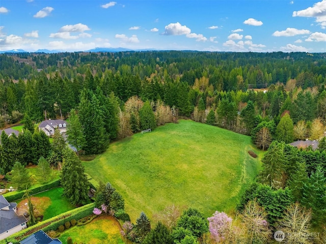 17633 48th Ave SE, Bothell, WA 98012 - photo 40