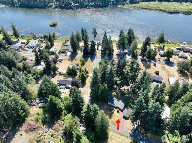 14818 Terrace Ave SE, Tenino, WA 98589 - photo 3