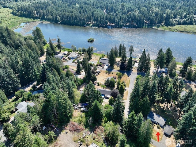 14818 Terrace Ave SE, Tenino, WA 98589 - photo 4