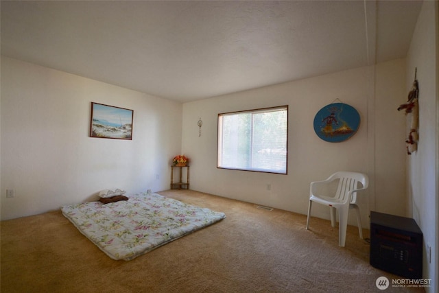 14818 Terrace Ave SE, Tenino, WA 98589 - photo 20