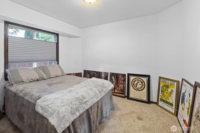 10208 D St E, Tacoma, WA 98445 - bedroom featuring carpet flooring