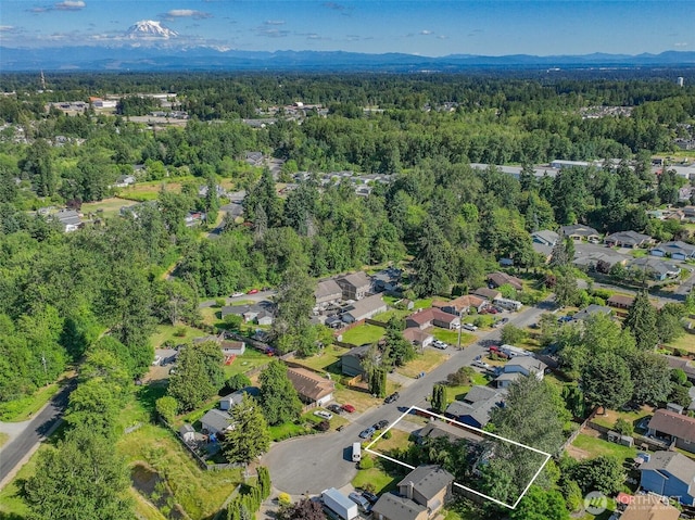 10208 D St E, Tacoma, WA 98445 - aerial perspective of suburban area with a heavily wooded area and property parcel outlined