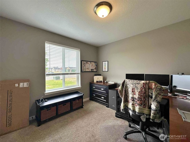 704 Roundtree Blvd, Winlock, WA 98596 - office space featuring light colored carpet and a textured ceiling