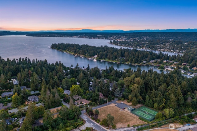 3204 Evergreen Point Rd, Medina, WA 98039 - photo 5