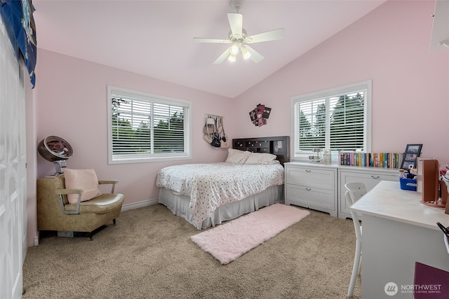 675 Bowker St SE, Lacey, WA 98503 - photo 12