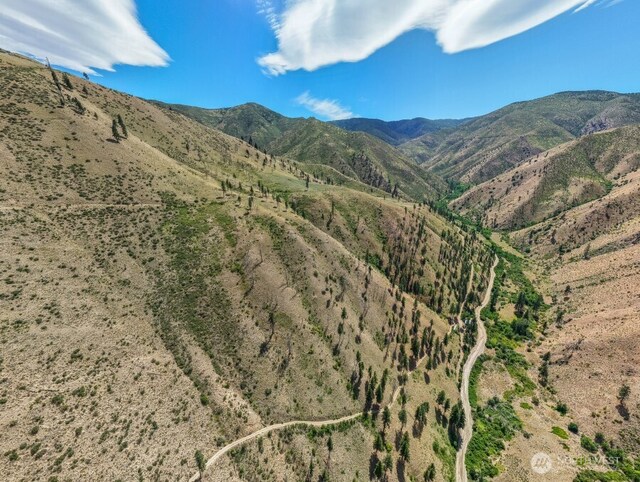 1LOT Mills Canyon Rd, Entiat, WA 98822 - photo 1