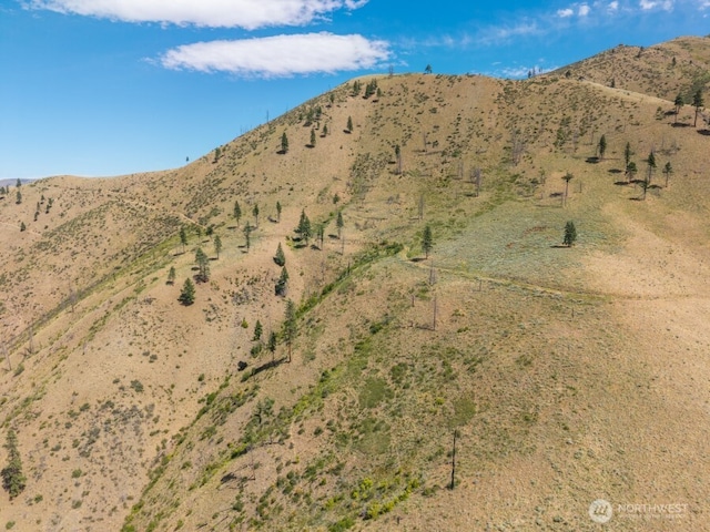 1LOT Mills Canyon Rd, Entiat, WA 98822 - photo 4
