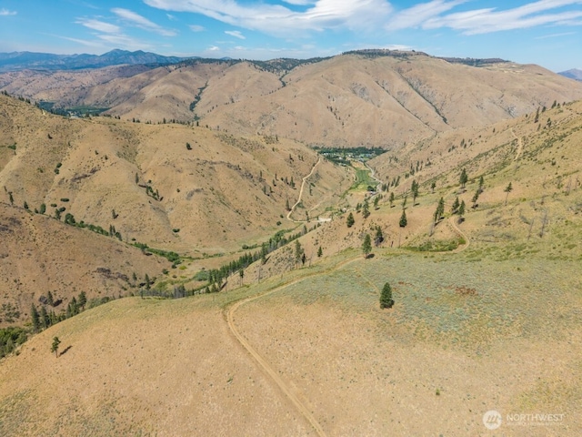 3LOT Mills Canyon Rd, Entiat, WA 98822 - photo 3