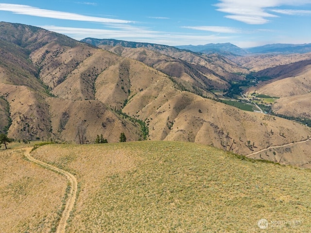 3LOT Mills Canyon Rd, Entiat, WA 98822 - photo 4