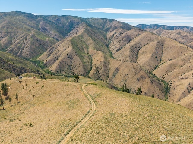 3LOT Mills Canyon Rd, Entiat, WA 98822 - photo 5