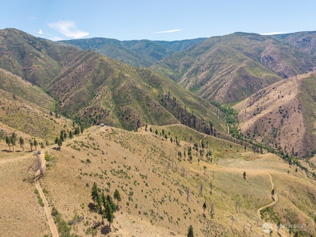 3LOT Mills Canyon Rd, Entiat, WA 98822 - photo 8