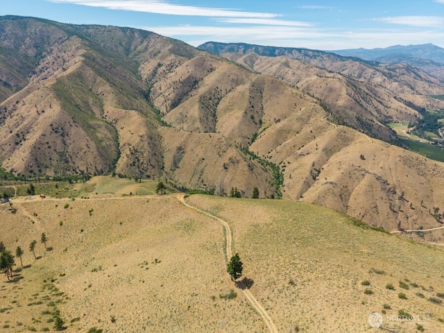 3LOT Mills Canyon Rd, Entiat, WA 98822 - photo 9