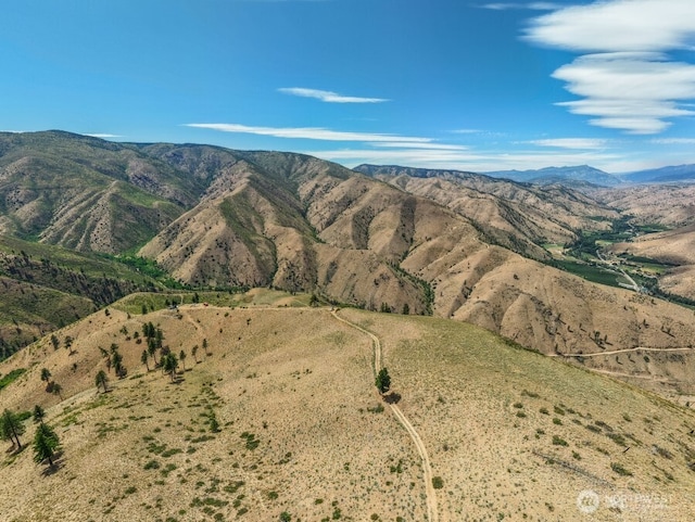 3LOT Mills Canyon Rd, Entiat, WA 98822 - photo 10