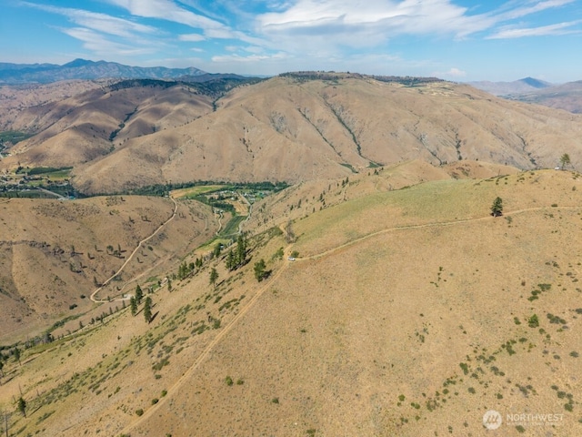 3LOT Mills Canyon Rd, Entiat, WA 98822 - photo 11