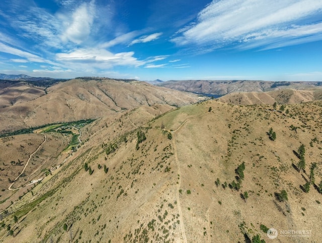 3LOT Mills Canyon Rd, Entiat, WA 98822 - photo 13