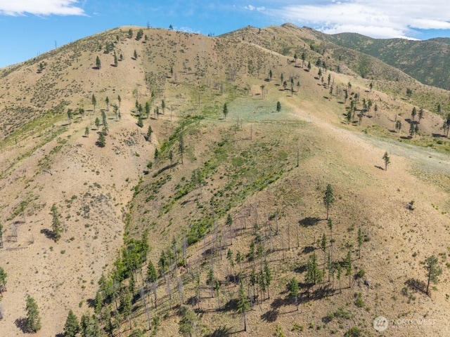 3LOT Mills Canyon Rd, Entiat, WA 98822 - photo 14