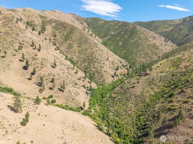 4LOT Mills Canyon Rd, Entiat, WA 98822 - photo 2