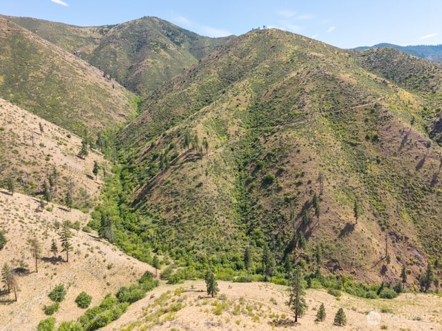 4LOT Mills Canyon Rd, Entiat, WA 98822 - photo 3